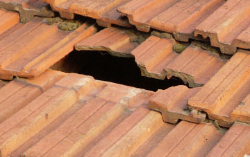 roof repair Middle Bourne, Surrey